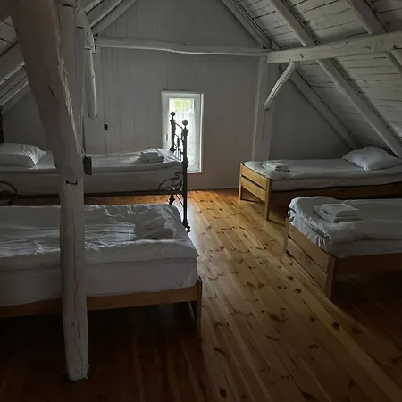 Bialy W Srodku Lasu Tatil Evi Mermet