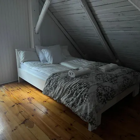 Bialy W Srodku Lasu Tatil Evi *