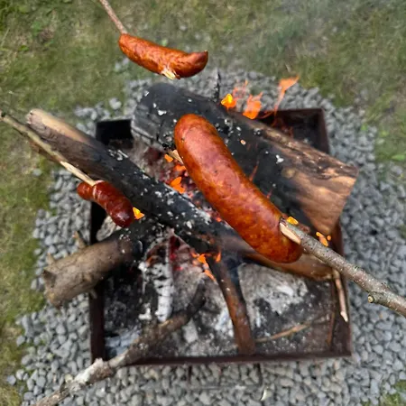 Bialy W Srodku Lasu * Mermet