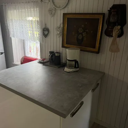 Bialy W Srodku Lasu Tatil Evi