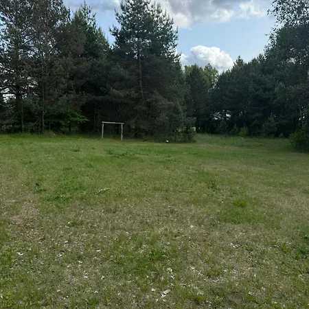 Bialy W Srodku Lasu Mermet