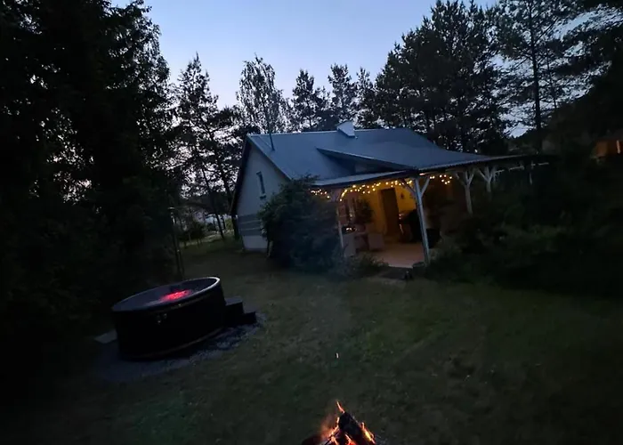 Bialy W Srodku Lasu *