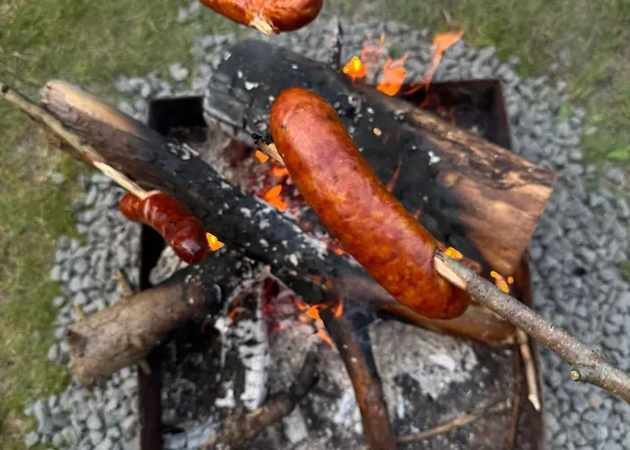 Bialy W Srodku Lasu * Mermet