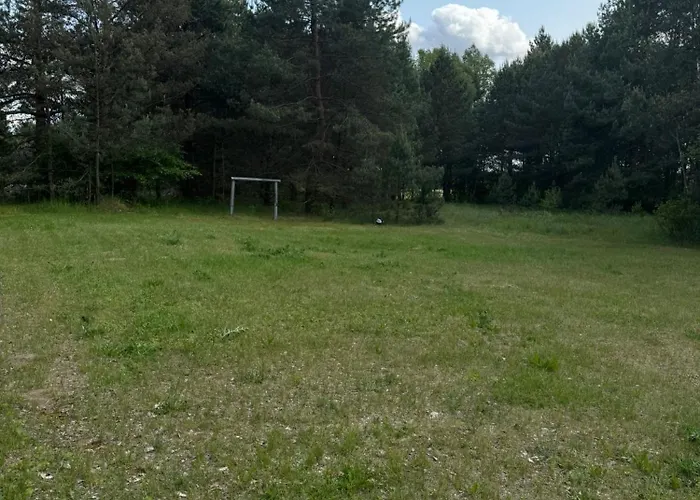 Bialy W Srodku Lasu Mermet